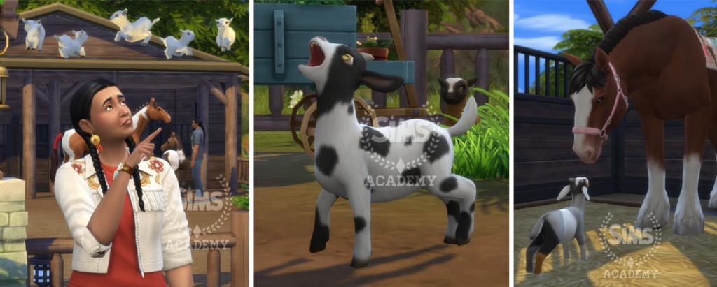 Sims-4-Horse-Ranch-Building-Friendships